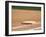 Baseball Base-Steven Sutton-Framed Premium Photographic Print