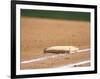 Baseball Base-Steven Sutton-Framed Photographic Print