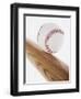 Baseball Bat and Ball-null-Framed Photographic Print