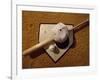 Baseball Bat with a Cap, and a Baseball on the Home Base-null-Framed Photographic Print