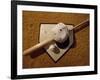 Baseball Bat with a Cap, and a Baseball on the Home Base-null-Framed Photographic Print