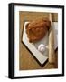 Baseball Bat with a Glove, and a Baseball on the Home Base-null-Framed Photographic Print