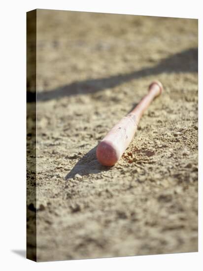 Baseball Bat-Chris Trotman-Stretched Canvas
