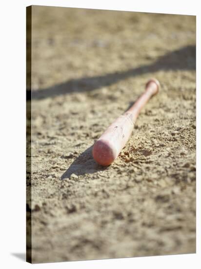 Baseball Bat-Chris Trotman-Stretched Canvas