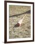 Baseball Bat-Chris Trotman-Framed Photographic Print