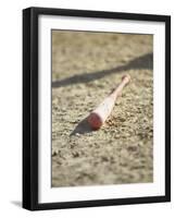 Baseball Bat-Chris Trotman-Framed Photographic Print