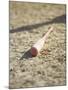 Baseball Bat-Chris Trotman-Mounted Photographic Print