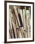Baseball Bats-Paul Sutton-Framed Premium Photographic Print