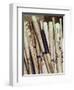 Baseball Bats-Paul Sutton-Framed Premium Photographic Print