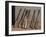 Baseball Bats-Steven Sutton-Framed Photographic Print