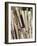 Baseball Bats-Paul Sutton-Framed Photographic Print