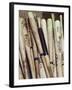 Baseball Bats-Paul Sutton-Framed Photographic Print