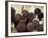 Baseball Bats-Paul Sutton-Framed Photographic Print