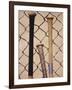 Baseball Bats-Chris Trotman-Framed Photographic Print