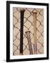 Baseball Bats-Chris Trotman-Framed Photographic Print