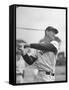 Baseball: Boston Red Sox Ted Williams Alone During Batting Practice-Frank Scherschel-Framed Stretched Canvas
