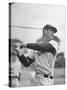 Baseball: Boston Red Sox Ted Williams Alone During Batting Practice-Frank Scherschel-Stretched Canvas