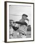 Baseball: Boston Red Sox Ted Williams Alone During Batting Practice-Frank Scherschel-Framed Premium Photographic Print