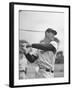 Baseball: Boston Red Sox Ted Williams Alone During Batting Practice-Frank Scherschel-Framed Premium Photographic Print