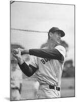 Baseball: Boston Red Sox Ted Williams Alone During Batting Practice-Frank Scherschel-Mounted Premium Photographic Print