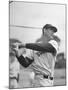 Baseball: Boston Red Sox Ted Williams Alone During Batting Practice-Frank Scherschel-Mounted Premium Photographic Print