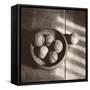 Baseball Bowl-Judy B^ Messer-Framed Stretched Canvas