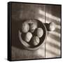 Baseball Bowl-Judy B^ Messer-Framed Stretched Canvas