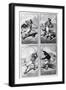 Baseball Cards Showing Various Positions-null-Framed Giclee Print