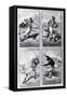 Baseball Cards Showing Various Positions-null-Framed Stretched Canvas