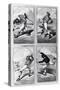 Baseball Cards Showing Various Positions-null-Stretched Canvas