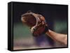 Baseball Catcher's Mitt-null-Framed Stretched Canvas