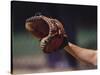 Baseball Catcher's Mitt-null-Stretched Canvas