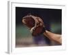 Baseball Catcher's Mitt-null-Framed Photographic Print