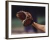 Baseball Catcher's Mitt-null-Framed Photographic Print