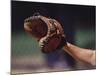 Baseball Catcher's Mitt-null-Mounted Photographic Print