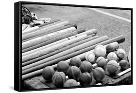 Baseball Equipment Poster-null-Framed Stretched Canvas