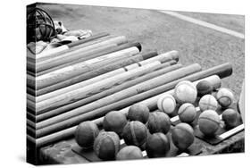 Baseball Equipment-null-Stretched Canvas