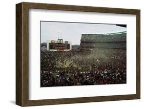 Baseball Fans Celebrating Victory-null-Framed Photographic Print