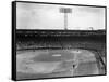 Baseball: Fenway Park, 1956-null-Framed Stretched Canvas