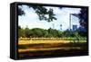 Baseball Game-Philippe Hugonnard-Framed Stretched Canvas