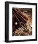 Baseball II-Michael Harrison-Framed Art Print