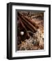 Baseball II-Michael Harrison-Framed Giclee Print