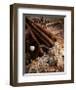 Baseball II-Michael Harrison-Framed Giclee Print