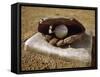 Baseball in a Baseball Glove on a Base-null-Framed Stretched Canvas