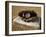 Baseball in a Baseball Glove on a Base-null-Framed Premium Photographic Print