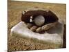 Baseball in a Baseball Glove on a Base-null-Mounted Premium Photographic Print