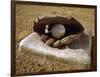 Baseball in a Baseball Glove on a Base-null-Framed Photographic Print