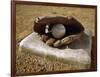 Baseball in a Baseball Glove on a Base-null-Framed Photographic Print