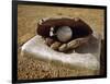 Baseball in a Baseball Glove on a Base-null-Framed Photographic Print