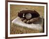 Baseball in a Baseball Glove on a Base-null-Framed Photographic Print